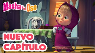 Masha y el Oso 👱‍♀️🐻 Nuevo capítulo 🎱🔳 Es tu Señal 🎬 Сolección 😁 [upl. by Yelrak]