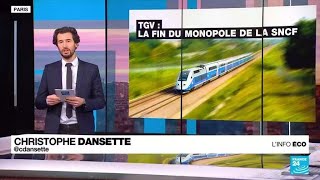 France  la compagnie Trenitalia lance ses trains à grande vitesse sur la ligne ParisLyon [upl. by Thatcher]