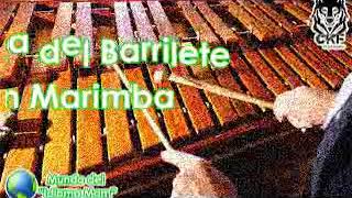 Musica de MARIMBA danza del barrilete [upl. by Elmaleh]