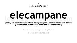 How to pronounce Elecampane  English pronunciation [upl. by Adnirolc360]