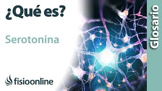 SEROTONINA  Qué es qué órgano la segrega efectos en qué estructuras del cuerpo actúa [upl. by Keppel]