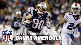 Danny Amendola Highlights Week 11  Bills vs Patriots  NFL [upl. by Marsha]