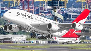 400 AIRCRAFT TAKEOFFS amp LANDINGS in 4 HOURS Aircraft Identification  Sydney Airport Plane Spotting [upl. by Yssenhguahs]