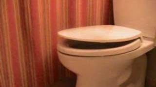 Auto Toilet Lid Closer [upl. by Ariek488]