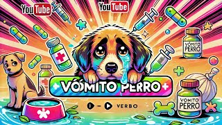 ¿Qué Darle a tu Perro Cuando Vomita Bilis 🐶🤢 ¡Consejos para Aliviarlo [upl. by Namron325]