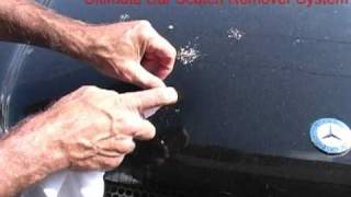 Bird Droppings On Car clear coat damage [upl. by Carmelle]