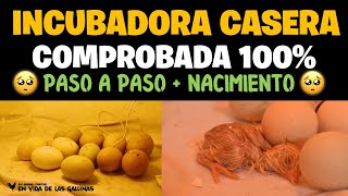 COMO HACER UNA INCUBADORA CASERA  100 COMPROBADA  BIEN EXPLICADO [upl. by Adnovad]