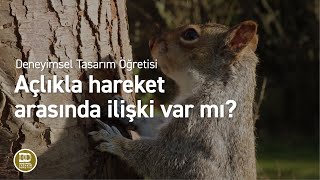 Deneyimsel Tasarım Öğretisi  Açlıkla hareket arasında ilişki var mı [upl. by Erialc]