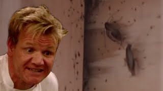 The Absolute Dirtiest Kitchen on Kitchen Nightmares and the Lawsuit that resulted from it [upl. by Keel]