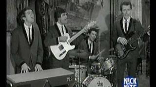 The standells  I wanna hold your hand [upl. by Undis]