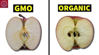 What Genetically Modified Food We Eat Everyday [upl. by Kostival]