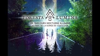 FORESTA LUMINA  HD [upl. by Hew378]