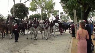 Feria de Sevilla 2011 Paseo de Caballos Sevillanas por Gracia Montes [upl. by Conley]