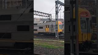 train sydney sydneytrains A VSet arriving at Central [upl. by Yelsek976]