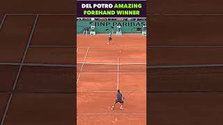 DEL POTRO AMAZING WINNER VS FEDERER tennis shorts [upl. by Nennerb]