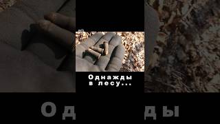 WW2 Metaldetecting [upl. by Ahsyas]