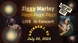 ZIGGY Marley LIVE in Concert Full Show KC July 22 2023 Part 3 Concert Series [upl. by Lime]