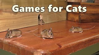 Cat Games  Mouse Watch TV  Mice for Cats to Catch 🐭 [upl. by Agueda]