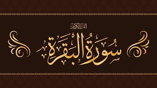 SurahAlBaqarah full surah fastrecitation  by Mishary Bin Rashid 🤲 [upl. by Amle]