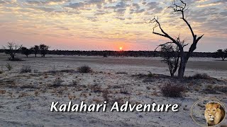 Kgalagadi  Before You Go Watch This Video [upl. by Arreip]