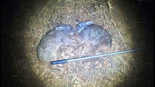 Blowgun Hunting Red Rock Rabbits in the Drakensberg [upl. by Balsam998]