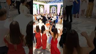 Mateus Frroku Live Performace Wedding [upl. by Nolahp]