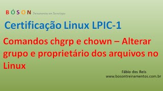 Comandos chgrp e chown  Alterar proprietário e grupo dos arquivos no Linux [upl. by Aleicarg295]