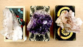 🌺🥀How Are They FEELING About YOU Right Now🌟 PICK A CARD Timeless Love Tarot [upl. by Wanda]