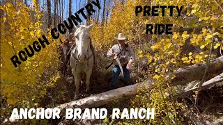 Mountain Ride with Anchor Brand Ranch [upl. by Westley959]