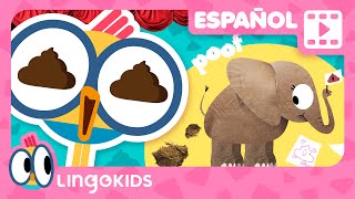 ¿Qué es el ESTIÉRCOL 💩🌱 Dibujos Educativos  Lingokids en español [upl. by Burl]