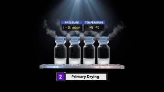 Product Lyophilization Process [upl. by Niarb]