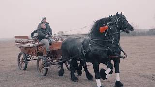 Boboteaza in Pietrosani  botezul cailor 2019 [upl. by Gabriello]