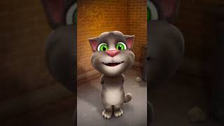 Talking Tom says Hello Tom [upl. by Channing]