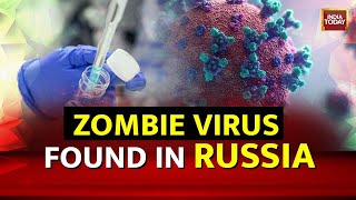 48500YearOld Zombie Virus Revived In Russia What Is The Pandoravirus amp Is It Killer [upl. by Aleetha406]