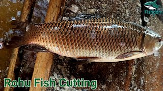 Lake fish for USA 😲  Village fish cutting Rohu fish cutting and chopping skills by Expert cutter [upl. by Aleicarg744]