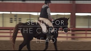 HOW TO CANTER  Horses 101 Under Saddle [upl. by Whitcher]