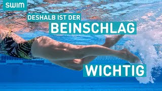 DESHALB ist der Beinschlag beim Kraulschwimmen wichtig  SWIM Technik [upl. by Mirielle134]