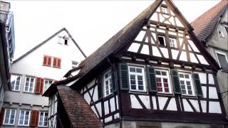 Tübingen Germany a historic university city [upl. by Drahsar573]