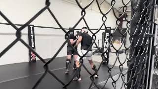 Light MMA Sparring [upl. by Efinnej]