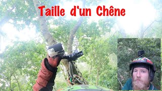 Taille dun Chêne I Test Gopro 8 [upl. by Einnahc456]