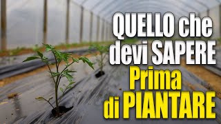 QUANDO piantare POMODORI🍅 MELANZANE🍆 e PEPERONI🌶  TUTTO QUELLO CHE DEVI SAPERE [upl. by Santa]