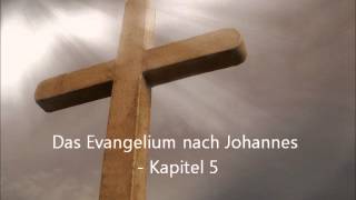 Das Evangelium nach Johannes  Kapitel 5 LuÜ [upl. by Forkey284]