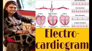 ElectroCardioGraphy ECGEKG  basics [upl. by Mcgruter291]