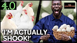 1 Harry Pinero Vs 5 Chickens Who Wins  The Infiltrators  channel40 [upl. by Anselmo]