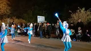 Shepton Mallet Carnival 2024  Castle Cary Cygnets Majorettes [upl. by Oag489]