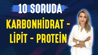 📌10 SORUDA l KARBONHİDRAT  LİPİT  PROTEİN  TYT 9SINIF l Seda Hoca Biyoloji 🤗 [upl. by Akihc]