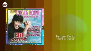 Edi Cotok  Tembok Derita Tembok Muaro Official Audio [upl. by Fitzsimmons]