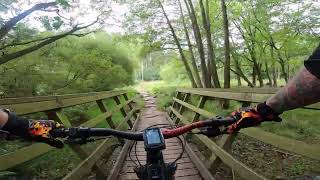 First Time At Cannock Chase Perrys Tail Walking The Dog and The Monkey Trail [upl. by Eenaj]