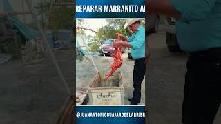 Marranito adobado al ataúd ElArriero comida rancho comidatipica comidamexicana [upl. by Nikolaus145]