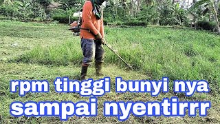 FULL THROTTLE MESIN RUMPUT MITSUBISHI TU43  brush cutter throttle [upl. by Mairb]